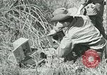 Image Bureau des services stratégiques la Birmanie, 1943, de la seconde 27 séquences d'archives historiques vidéo 65675021895