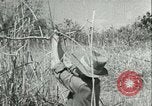 Image Bureau des services stratégiques la Birmanie, 1943, de la seconde 41 séquences d'archives historiques vidéo 65675021895