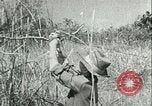 Image Bureau des services stratégiques la Birmanie, 1943, de la seconde 43 séquences d'archives historiques vidéo 65675021895