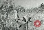 Image Bureau des services stratégiques la Birmanie, 1943, de la seconde 44 séquences d'archives historiques vidéo 65675021895
