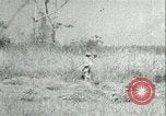 Image Bureau des services stratégiques la Birmanie, 1943, de la seconde 45 séquences d'archives historiques vidéo 65675021895