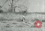 Image Bureau des services stratégiques la Birmanie, 1943, de la seconde 46 séquences d'archives historiques vidéo 65675021895