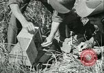 Image Bureau des services stratégiques la Birmanie, 1943, de la seconde 48 séquences d'archives historiques vidéo 65675021895