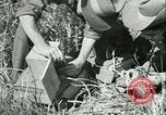 Image Bureau des services stratégiques la Birmanie, 1943, de la seconde 49 séquences d'archives historiques vidéo 65675021895