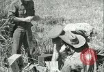 Image Bureau des services stratégiques la Birmanie, 1943, de la seconde 53 séquences d'archives historiques vidéo 65675021895