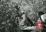 Image Bureau des services stratégiques la Birmanie, 1943, de la seconde 58 séquences d'archives historiques vidéo 65675021895