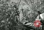 Image Bureau des services stratégiques la Birmanie, 1943, de la seconde 59 séquences d'archives historiques vidéo 65675021895