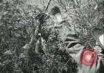 Image Bureau des services stratégiques la Birmanie, 1943, de la seconde 61 séquences d'archives historiques vidéo 65675021895