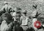 Image Bureau des services stratégiques la Birmanie, 1943, de la seconde 35 séquences d'archives historiques vidéo 65675021897
