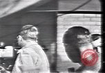 Immagine di Lee Harvey Oswald Dallas Texas USA, 1963, secondo 53 filmato di repertorio 65675021908
