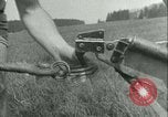Standbild Hitler Jugend Deutschland, 1940, aus Sekunde 18 historischem Filmmaterial Videoclip 65675021926