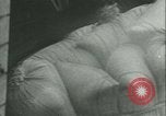 Standbild Nahrungsmittel Frankreich, 1940, aus Sekunde 14 historischem Filmmaterial Videoclip 65675021931