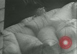 Standbild Nahrungsmittel Frankreich, 1940, aus Sekunde 16 historischem Filmmaterial Videoclip 65675021931