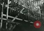 Standbild Nahrungsmittel Frankreich, 1940, aus Sekunde 41 historischem Filmmaterial Videoclip 65675021931