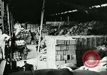 Standbild Nahrungsmittel Frankreich, 1940, aus Sekunde 42 historischem Filmmaterial Videoclip 65675021931