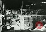 Standbild Nahrungsmittel Frankreich, 1940, aus Sekunde 43 historischem Filmmaterial Videoclip 65675021931
