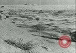 Image of Italian military forces in North Africa Libya, 1940, second 10 stock footage video 65675021933