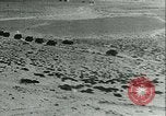 Image of Italian military forces in North Africa Libya, 1940, second 41 stock footage video 65675021933
