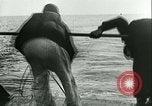 Immagine di Germania R-barche Mare del Nord, 1940, secondo 26 filmato di repertorio 65675021935