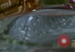 Standbild Lysergic acid diethylamide United States USA, 1967, aus Sekunde 21 historischem Filmmaterial Videoclip 65675021947