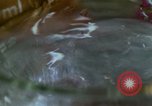 Standbild Lysergic acid diethylamide United States USA, 1967, aus Sekunde 22 historischem Filmmaterial Videoclip 65675021947