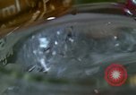 Standbild Lysergic acid diethylamide United States USA, 1967, aus Sekunde 25 historischem Filmmaterial Videoclip 65675021947