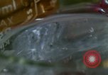 Standbild Lysergic acid diethylamide United States USA, 1967, aus Sekunde 32 historischem Filmmaterial Videoclip 65675021947