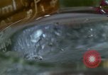 Standbild Lysergic acid diethylamide United States USA, 1967, aus Sekunde 33 historischem Filmmaterial Videoclip 65675021947