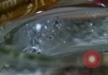 Standbild Lysergic acid diethylamide United States USA, 1967, aus Sekunde 50 historischem Filmmaterial Videoclip 65675021947