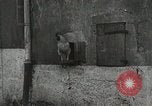 Standbild USA Kavallerie Frankreich, 1918, aus Sekunde 30 historischem Filmmaterial Videoclip 65675021972