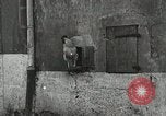 Standbild USA Kavallerie Frankreich, 1918, aus Sekunde 31 historischem Filmmaterial Videoclip 65675021972