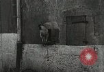 Standbild USA Kavallerie Frankreich, 1918, aus Sekunde 32 historischem Filmmaterial Videoclip 65675021972