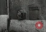 Standbild USA Kavallerie Frankreich, 1918, aus Sekunde 33 historischem Filmmaterial Videoclip 65675021972