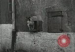 Standbild USA Kavallerie Frankreich, 1918, aus Sekunde 34 historischem Filmmaterial Videoclip 65675021972