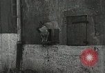 Standbild USA Kavallerie Frankreich, 1918, aus Sekunde 35 historischem Filmmaterial Videoclip 65675021972