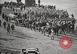 Standbild American unbekannten Soldaten geehrt in Frankreich und transportiert nach Amerika Frankreich, 1921, aus Sekunde 26 historischem Filmmaterial Videoclip 65675021987