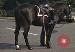 Standbild Allgemeine Jakob Devers Arlington Virginia USA, 1979, aus Sekunde 57 historischem Filmmaterial Videoclip 65675021995