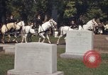 Immagine di Funerale militare Arlington Virginia USA, 1979, secondo 10 filmato di repertorio 65675021996