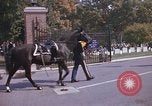 Standbild militärischen Beerdigung Arlington Virginia USA, 1979, aus Sekunde 46 historischem Filmmaterial Videoclip 65675021998