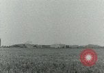 Image of 3rd Armored Division Paris France, 1944, second 30 stock footage video 65675022017