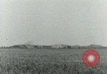Image of 3rd Armored Division Paris France, 1944, second 33 stock footage video 65675022017