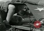 Image of French soldiers Paris France, 1944, second 59 stock footage video 65675022021