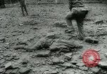 Immagine di Post office bombardamento Napoli Italia, 1943, secondo 44 filmato di repertorio 65675022035