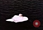 Immagine di Castelli Francesi Negreville Normandia Francia, 1944, secondo 48 filmato di repertorio 65675022050