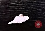 Immagine di Castelli Francesi Negreville Normandia Francia, 1944, secondo 49 filmato di repertorio 65675022050
