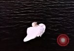 Immagine di Castelli Francesi Negreville Normandia Francia, 1944, secondo 50 filmato di repertorio 65675022050
