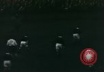 Image of Soccer game London England United Kingdom, 1944, second 12 stock footage video 65675022054