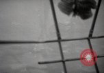 Image of hurricane hunting United States USA, 1955, second 56 stock footage video 65675022100