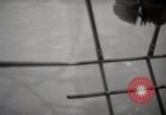 Image of hurricane hunting United States USA, 1955, second 57 stock footage video 65675022100