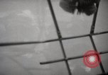Image of hurricane hunting United States USA, 1955, second 58 stock footage video 65675022100